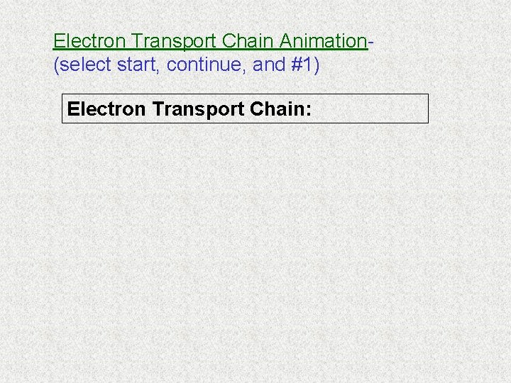 Electron Transport Chain Animation(select start, continue, and #1) Electron Transport Chain: 