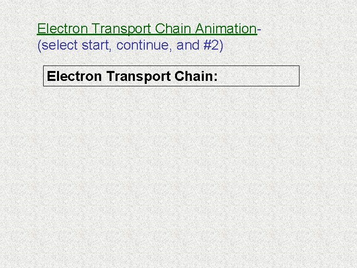 Electron Transport Chain Animation(select start, continue, and #2) Electron Transport Chain: 