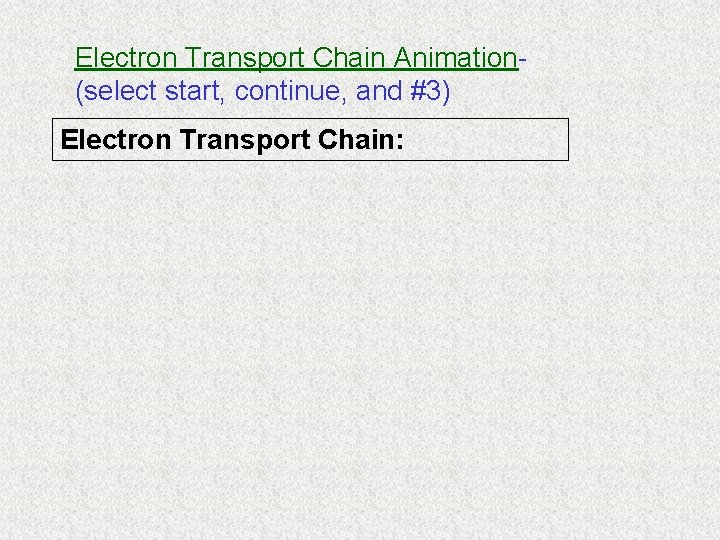 Electron Transport Chain Animation(select start, continue, and #3) Electron Transport Chain: Electron Transport Chain Animation(select start, continue, and #3) Electron Transport Chain: