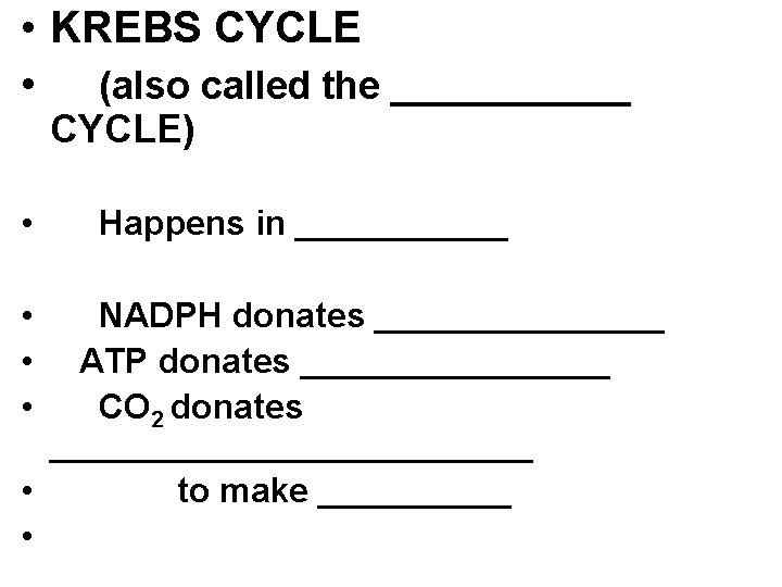  • KREBS CYCLE • (also called the ______ CYCLE) • • Happens in