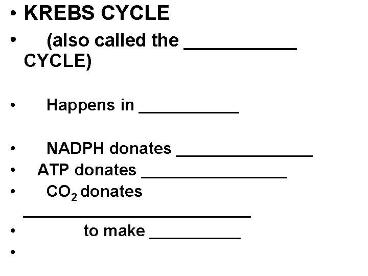 • KREBS CYCLE • (also called the ______ CYCLE) • • Happens in • KREBS CYCLE • (also called the ______ CYCLE) • • Happens in