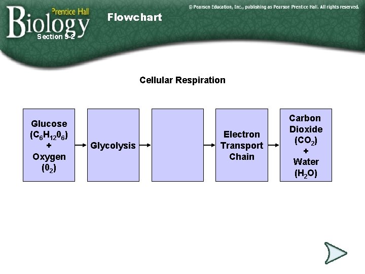 Flowchart Section 9 -2 Cellular Respiration Glucose (C 6 H 1206) + Oxygen (02)