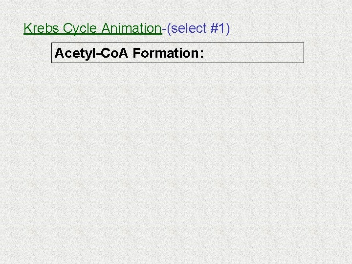 Krebs Cycle Animation-(select #1) Acetyl-Co. A Formation: 