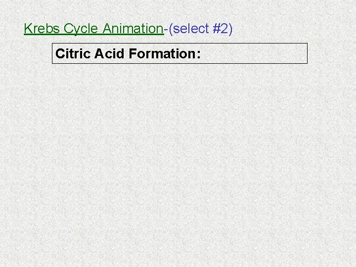 Krebs Cycle Animation-(select #2) Citric Acid Formation: 