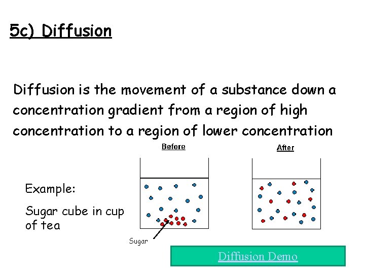 5 c) Diffusion is the movement of a substance down a concentration gradient from