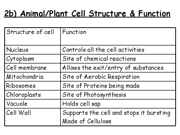 2 b) Animal/Plant Cell Structure & Function Structure of cell Function Nucleus Controls all