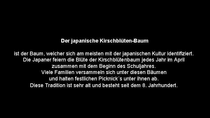 Der japanische Kirschblüten-Baum ist der Baum, welcher sich am meisten mit der japanischen Kultur