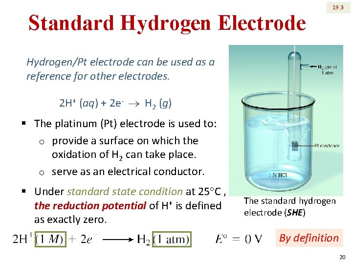Standard Hydrogen Electrode 19. 3 Hydrogen/Pt electrode can be used as a reference for