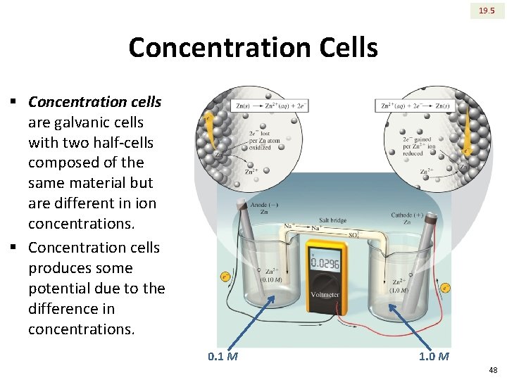 19. 5 Concentration Cells § Concentration cells are galvanic cells with two half-cells composed