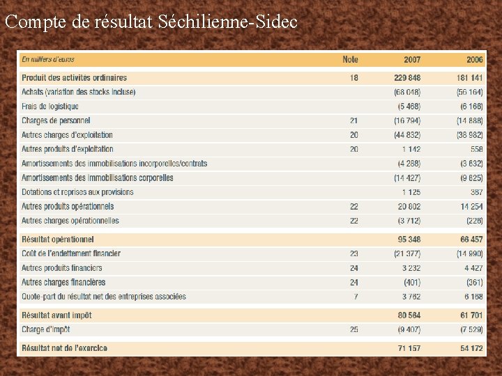 Compte de résultat Séchilienne-Sidec 