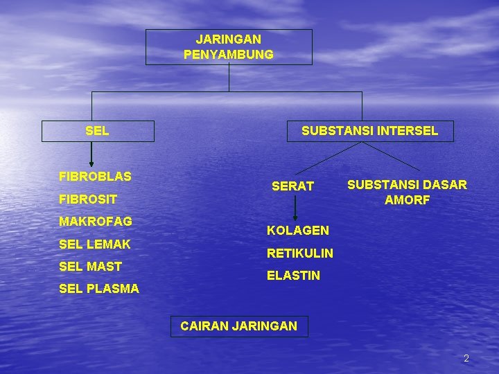 JARINGAN PENYAMBUNG SEL FIBROBLAS FIBROSIT MAKROFAG SEL LEMAK SEL MAST SEL PLASMA SUBSTANSI INTERSEL