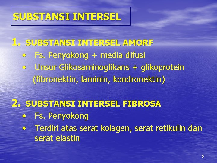 SUBSTANSI INTERSEL 1. SUBSTANSI INTERSEL AMORF • Fs. Penyokong + media difusi • Unsur