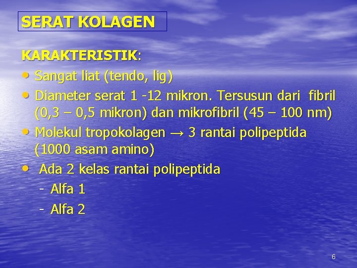 SERAT KOLAGEN KARAKTERISTIK: • Sangat liat (tendo, lig) • Diameter serat 1 -12 mikron.