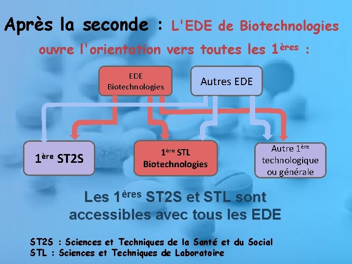 Après la seconde : L'EDE de Biotechnologies ouvre l'orientation vers toutes les 1ères :