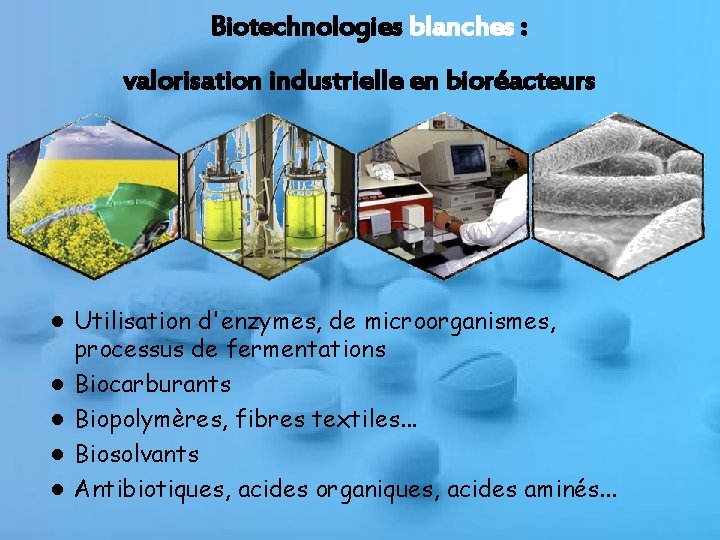 Biotechnologies blanches : valorisation industrielle en bioréacteurs ● Utilisation d'enzymes, de microorganismes, ● ●