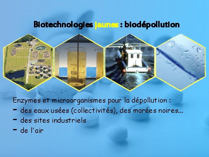 Biotechnologies jaunes : biodépollution Enzymes et microorganismes pour la dépollution : des eaux usées