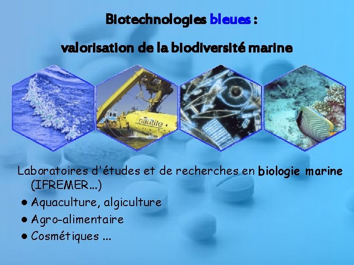 Biotechnologies bleues : valorisation de la biodiversité marine Laboratoires d'études et de recherches en