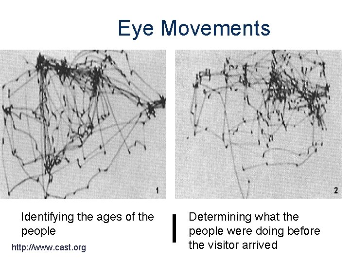 Eye Movements Identifying the ages of the people http: //www. cast. org l Determining