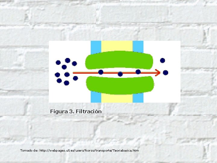 Figura 3. Filtración Tomado de: http: //webpages. ull. es/users/fcorzo/transporte/Teoriabasica. htm 
