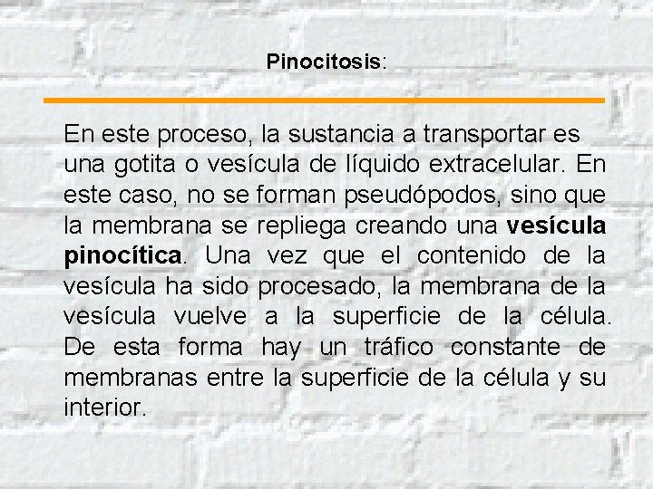 Pinocitosis: En este proceso, la sustancia a transportar es una gotita o vesícula de