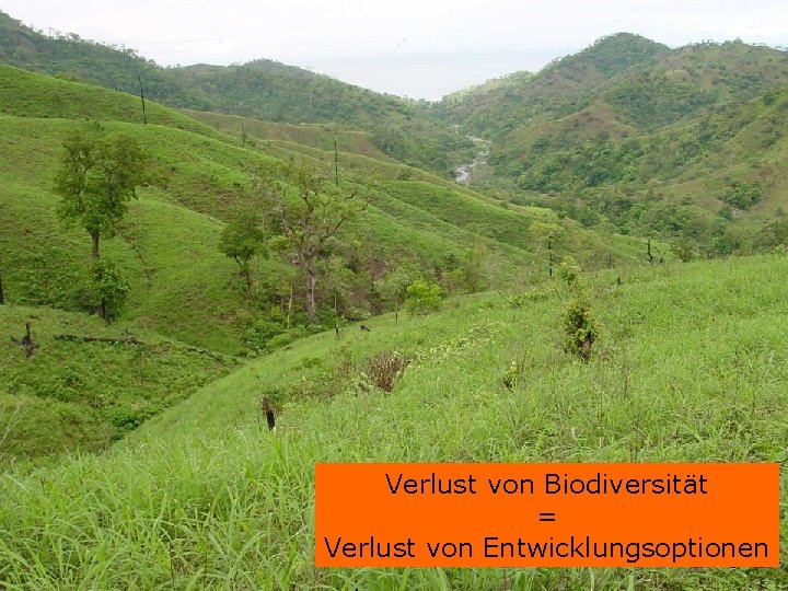 Verlust von Biodiversität = Verlust von Entwicklungsoptionen 