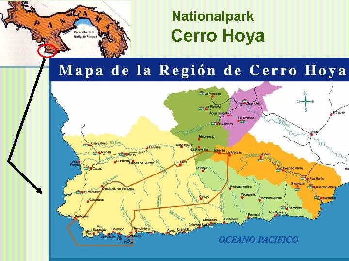 Nationalpark Cerro Hoya 