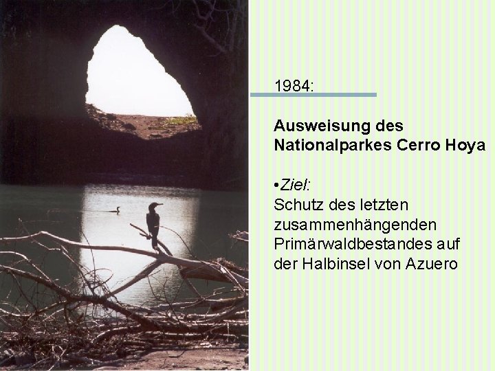 1984: Ausweisung des Nationalparkes Cerro Hoya • Ziel: Schutz des letzten zusammenhängenden Primärwaldbestandes auf