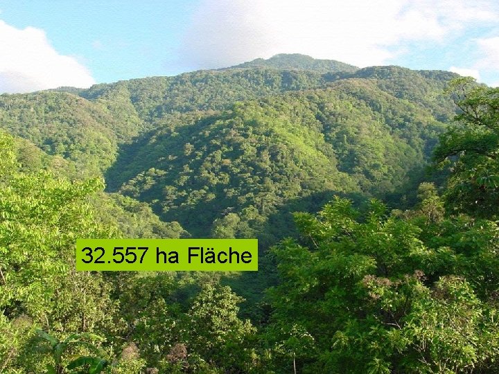 32. 557 ha Fläche 