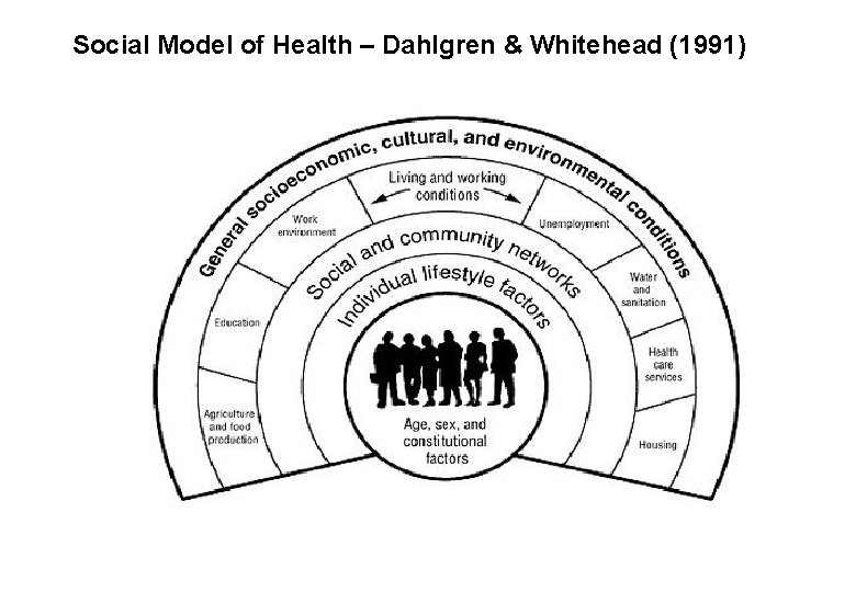 Social Model of Health – Dahlgren & Whitehead (1991) 