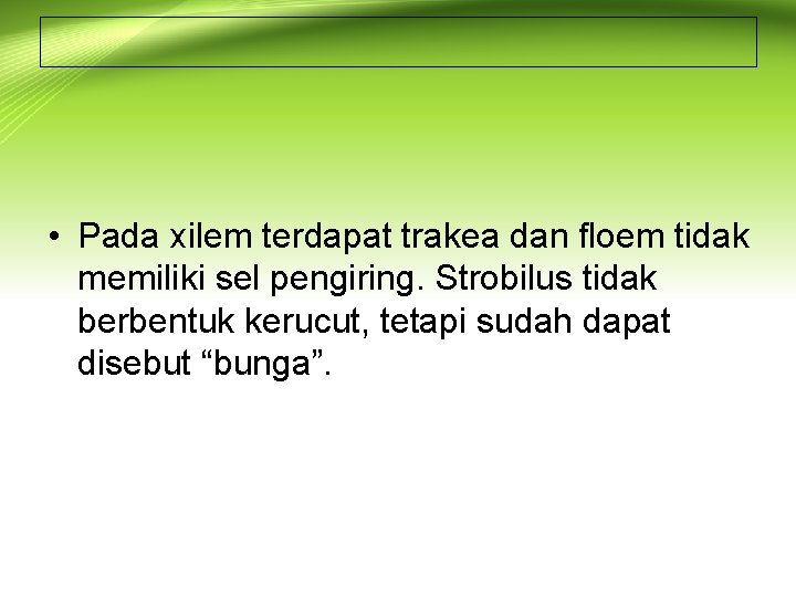  • Pada xilem terdapat trakea dan floem tidak memiliki sel pengiring. Strobilus tidak