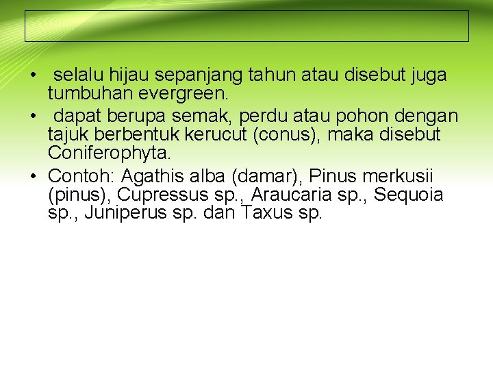  • selalu hijau sepanjang tahun atau disebut juga tumbuhan evergreen. • dapat berupa