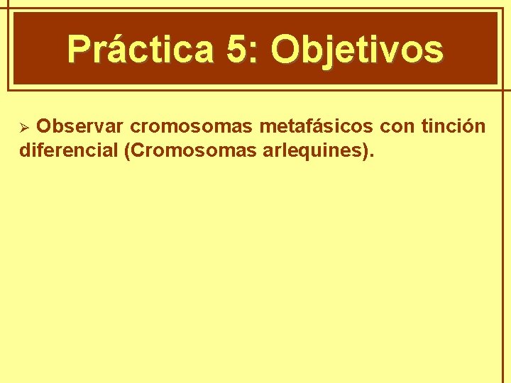 GENÈTICA MENDELIANA Práctica 5: Objetivos Observar cromosomas metafásicos con tinción diferencial (Cromosomas arlequines). Ø