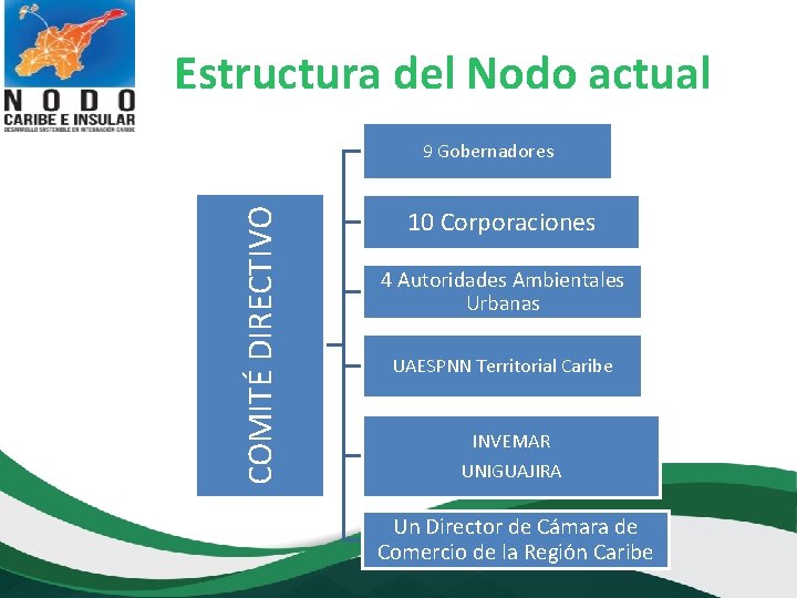 Estructura del Nodo actual COMITÉ DIRECTIVO 9 Gobernadores 10 Corporaciones 4 Autoridades Ambientales Urbanas