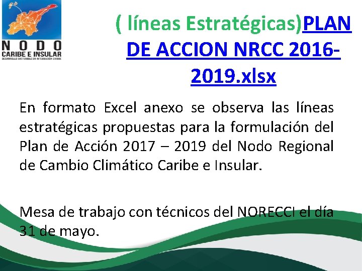 ( líneas Estratégicas)PLAN DE ACCION NRCC 20162019. xlsx En formato Excel anexo se observa