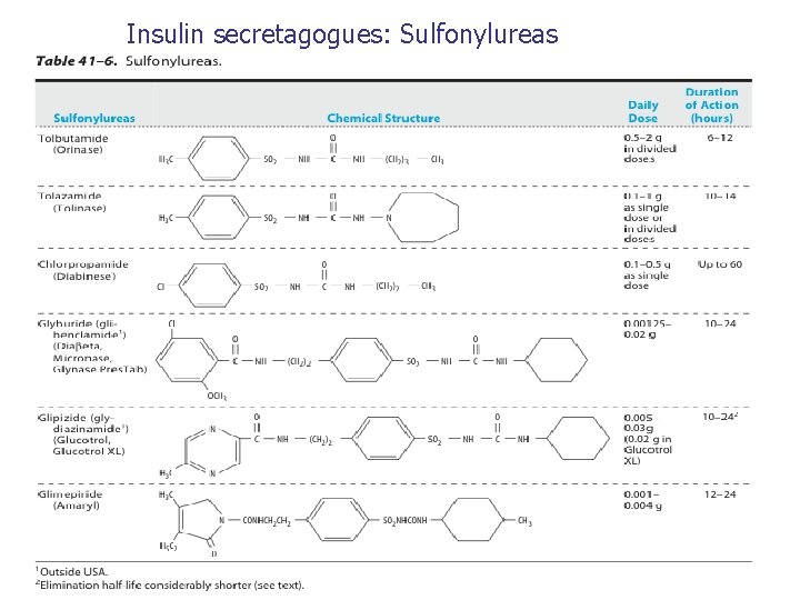 Insulin secretagogues: Sulfonylureas 