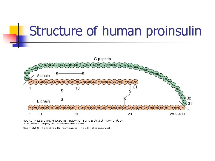 Structure of human proinsulin 
