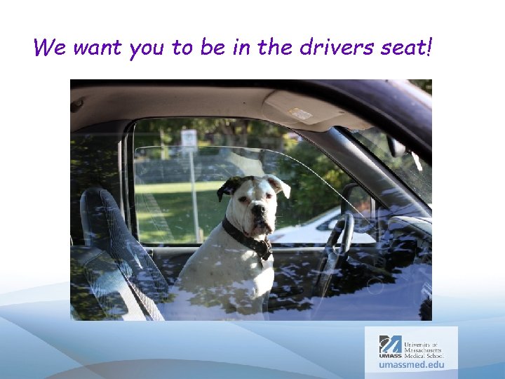 We want you to be in the drivers seat! 