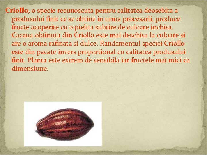 Criollo, o specie recunoscuta pentru calitatea deosebita a produsului finit ce se obtine in