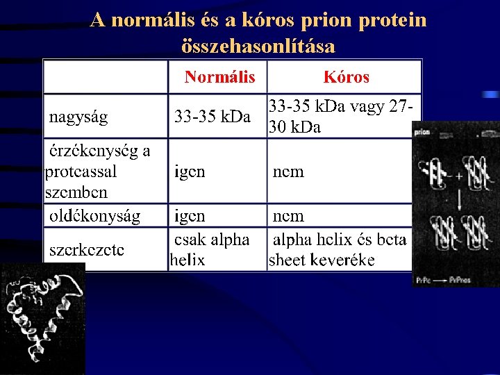 A normális és a kóros prion protein összehasonlítása 