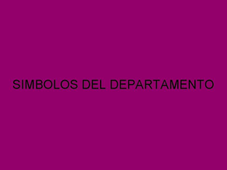 SIMBOLOS DEL DEPARTAMENTO 