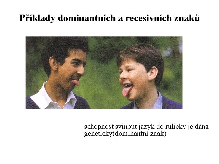 Příklady dominantních a recesivních znaků schopnost svinout jazyk do ruličky je dána geneticky(dominantní znak)