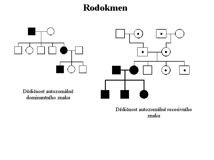Rodokmen Dědičnost autozomálně dominantního znaku Dědičnost autozomálně recesivního znaku 