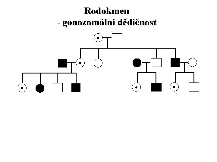 Rodokmen - gonozomální dědičnost 