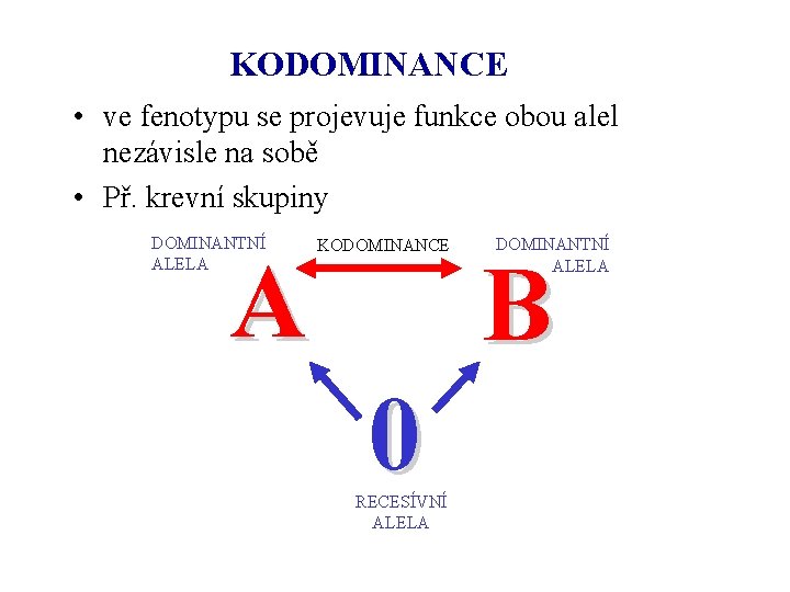 KODOMINANCE • ve fenotypu se projevuje funkce obou alel nezávisle na sobě • Př.