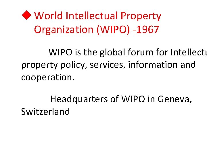 u World Intellectual Property Organization (WIPO) -1967 WIPO is the global forum for Intellectu