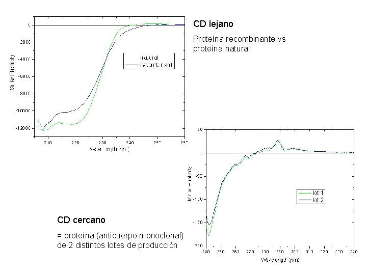 CD lejano Proteína recombinante vs proteína natural CD cercano = proteína (anticuerpo monoclonal) de