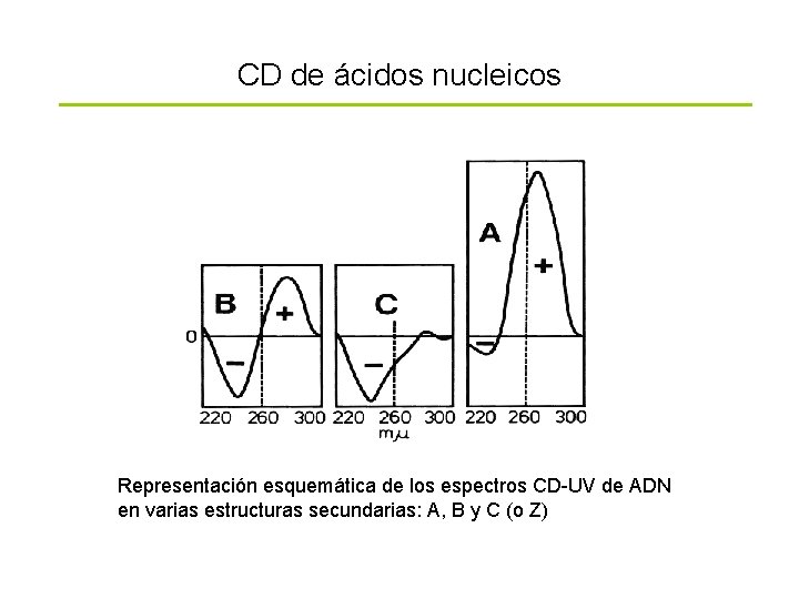 CD de ácidos nucleicos Representación esquemática de los espectros CD-UV de ADN en varias