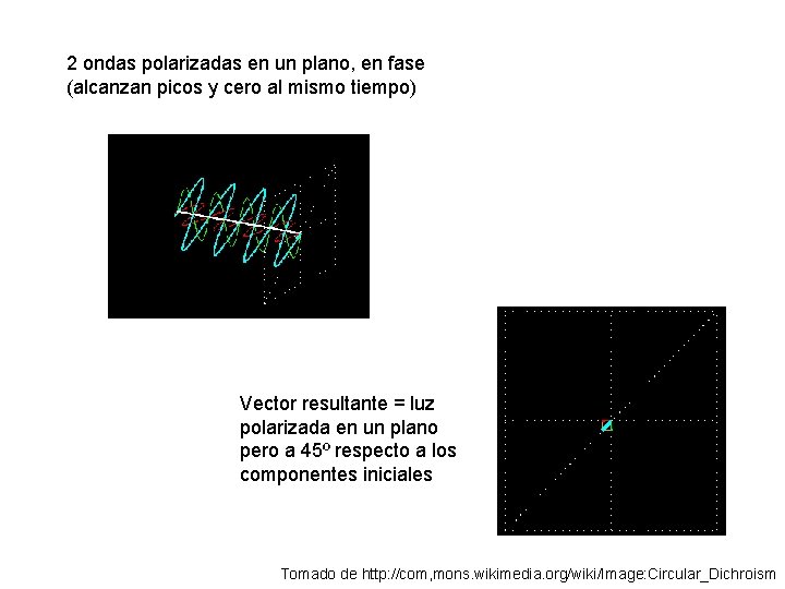 2 ondas polarizadas en un plano, en fase (alcanzan picos y cero al mismo