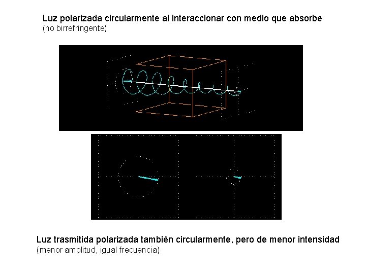 Luz polarizada circularmente al interaccionar con medio que absorbe (no birrefringente) Luz trasmitida polarizada