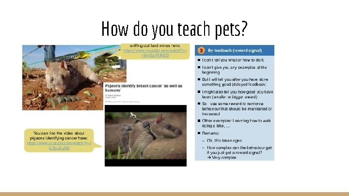 How do you teach pets? 